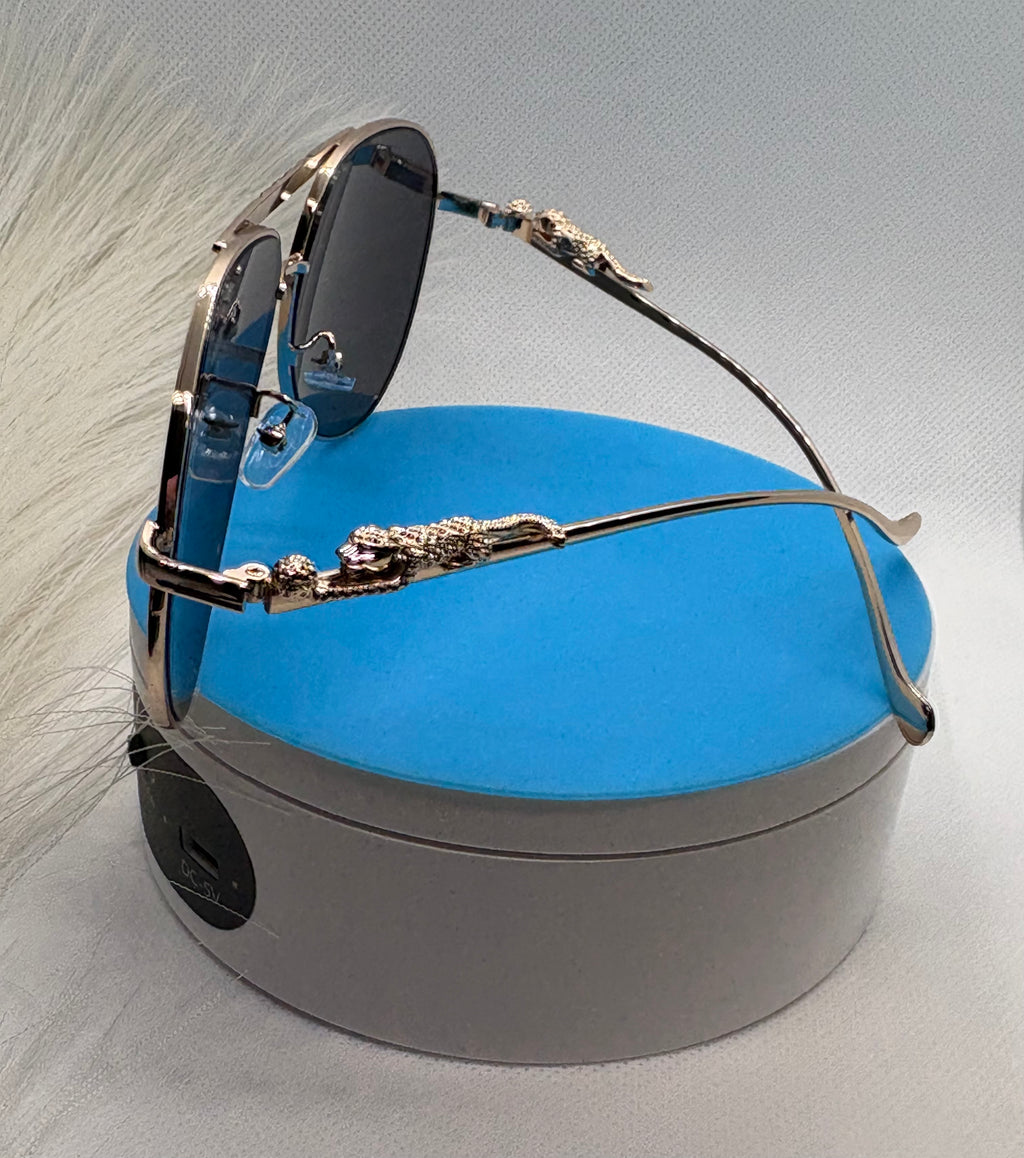Lux Fashion Sunglasses