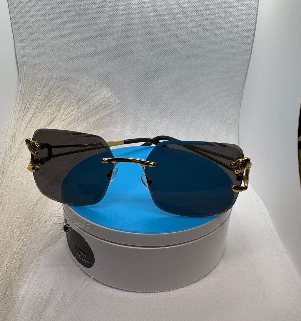 Lux Fashion Sunglasses